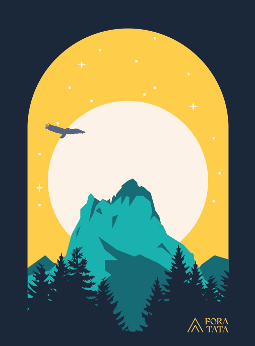 SUDADERA OVERSIZE FORATATA (LIMITED EDITION)